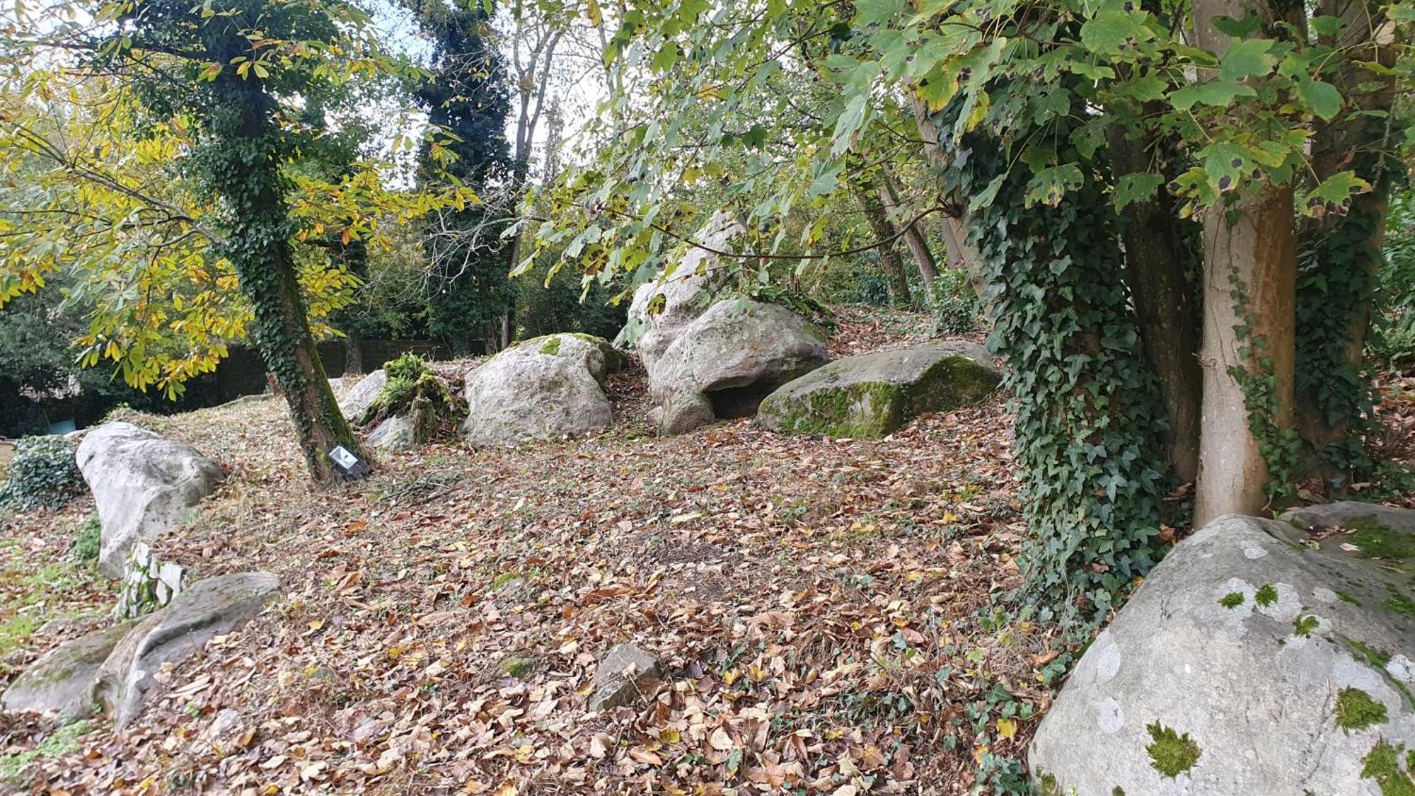 Moigny Le Jardin Des Roches B&B 외부 사진