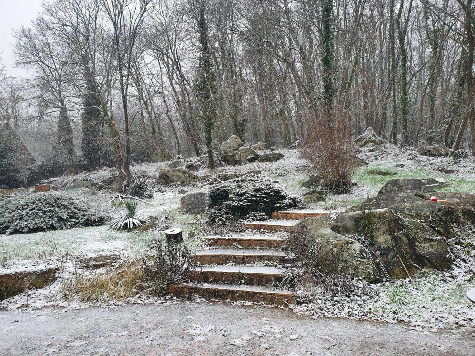 Moigny Le Jardin Des Roches B&B 외부 사진