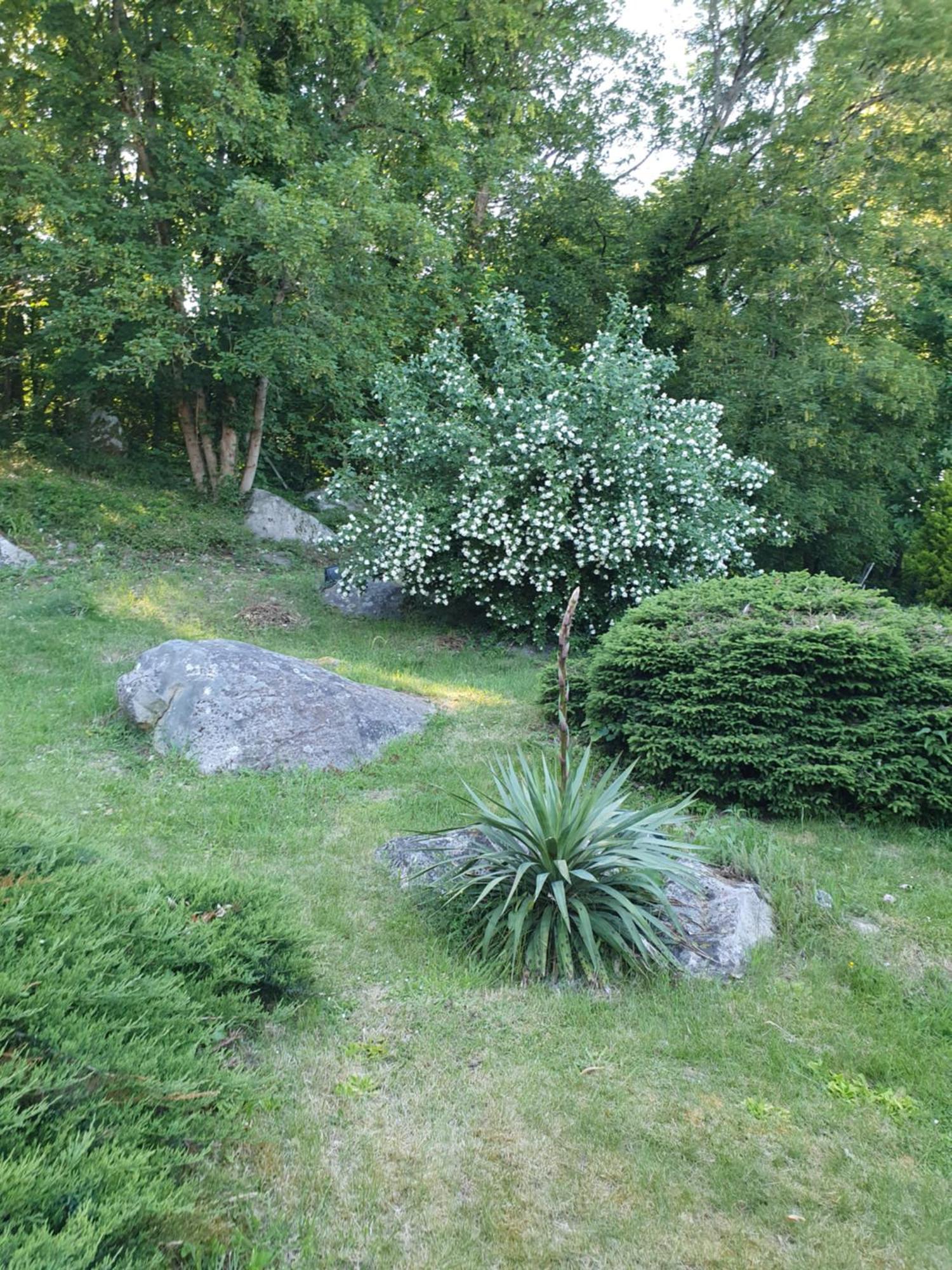 Moigny Le Jardin Des Roches B&B 외부 사진
